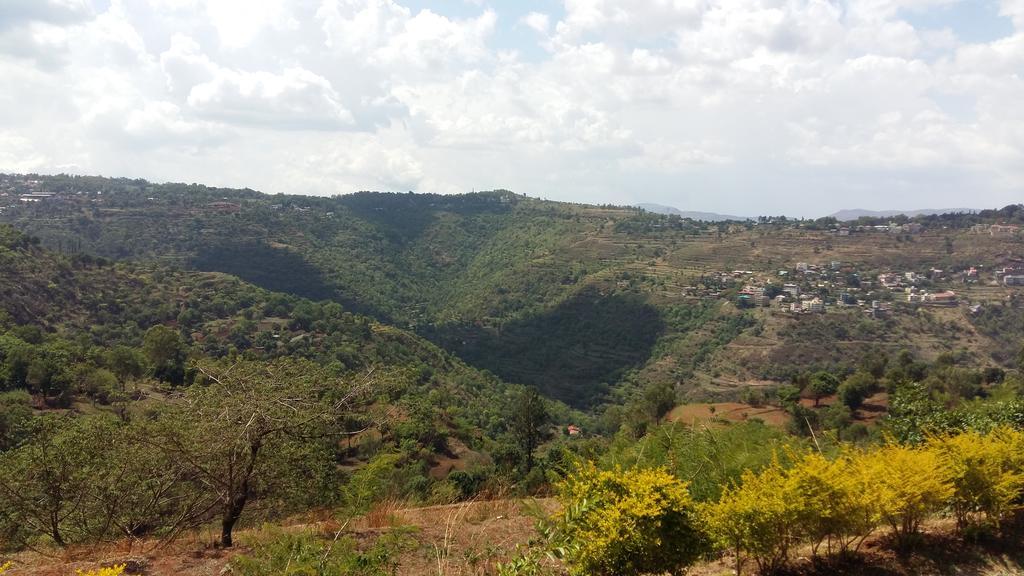 Hill Top Villa Panchgani Bagian luar foto